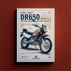1998-2009 Suzuki DR Series DR650SE Models Service Repair Workshop Manual PDF