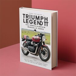 1998-1999 Triumph Legend TT Service Repair Workshop Manual PDF