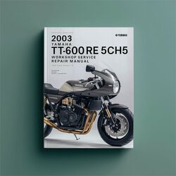 2003 Yamaha TT600RE 5CH5 Workshop Manual de servicio y reparación 