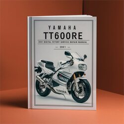 2001 Yamaha TT Models TT600RE Digital Service Repair Workshop Manual PDF