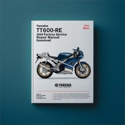 2003 Yamaha TT Models TT600RE Service Repair Workshop Manual PDF
