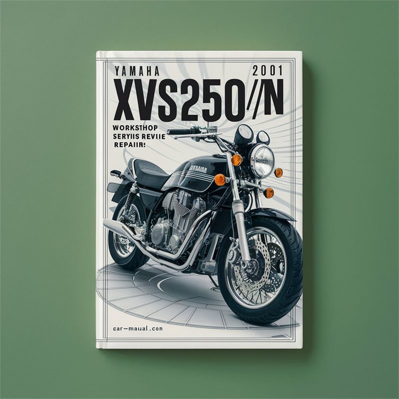 2001 Yamaha XVS Models Xvs250/n Service Repair Workshop Manual PDF
