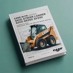 Case Alfa Series Skid Steer Loader SR200 SR220 SR250 SV250 SV300 Service Repair Workshop Manual PDF