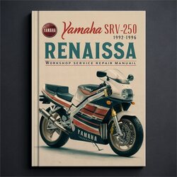 1992-1996 Yamaha SRV250 Renaissa Service Repair Workshop Manual PDF