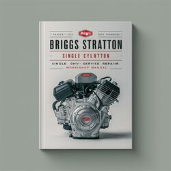 Briggs And Stratton Single Cylinder 276781 OHV Service Repair Workshop Manual PDF