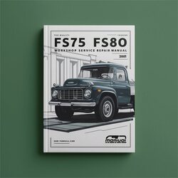 FS75 FS80 Service Repair Workshop Manual PDF