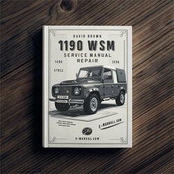 David Brown 1190 WSM Service Repair Workshop Manual PDF