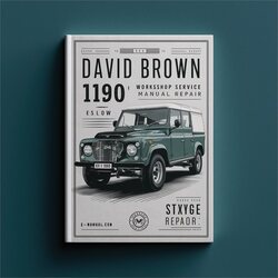 David Brown 1190 Service Repair Workshop Manual PDF