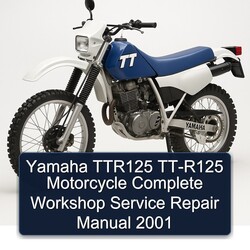 2001 Yamaha TTR Models TTR125 TT-R125 Motorcycle Service Repair Workshop Manual PDF