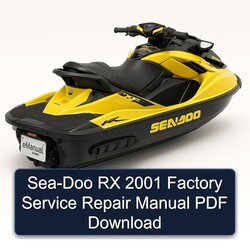 2001 SEA-DOO RX Service Repair Workshop Manual PDF