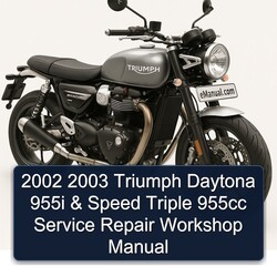2002 2003 Triumph Daytona 955i & Speed Triple 955cc Service Repair Workshop Manual 
