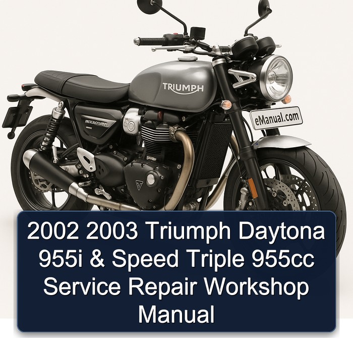 Triumph Speed Triple Daytona 955I 955CC Service Repair Workshop Manual PDF