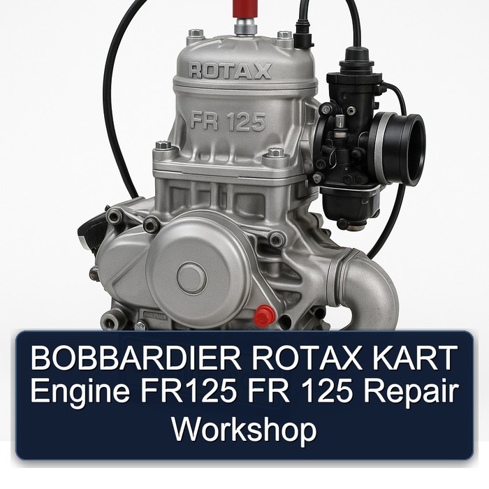 Rotax FR 125 Bobbardier Kart Engine FR125 Service Repair Workshop Manual PDF