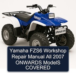 2007 Yamaha FZS Models FZS6 All Onwards Covered Service Repair Workshop Manual PDF