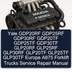 Yale GDP20RF GDP25RF GDP30RF GDP20TF GDP25TF GDP30TF GLP20RF GLP25RF GLP30RF GLP20TF GLP25TF GLP30TF Europe A875 Service Repair Workshop Manual PDF