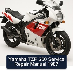 1987 Yamaha TZR Models 250 Service Repair Workshop Manual PDF