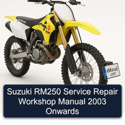 2003 Suzuki RM Series RM250 Onwards Service Repair Workshop Manual PDF