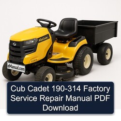 Cub Cadet 190-314 Service Repair Workshop Manual PDF