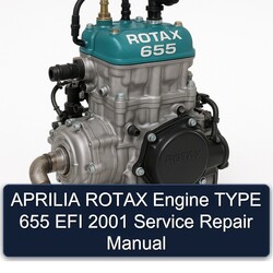 2001 Aprilia Rotax Engine Type 655 EFI Service Repair Workshop Manual PDF