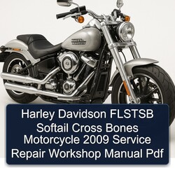 2009 Harley Davidson Softail Flstsb Cross Bones Motorcycle Service Repair Workshop Manual PDF