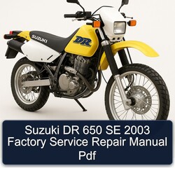 2003 Sherco SE Suzuki DR 650 Service Repair Workshop Manual PDF