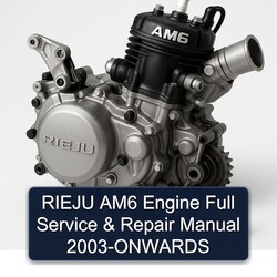 2003 Rieju AM6 Engine -onwards Service Repair Workshop Manual PDF