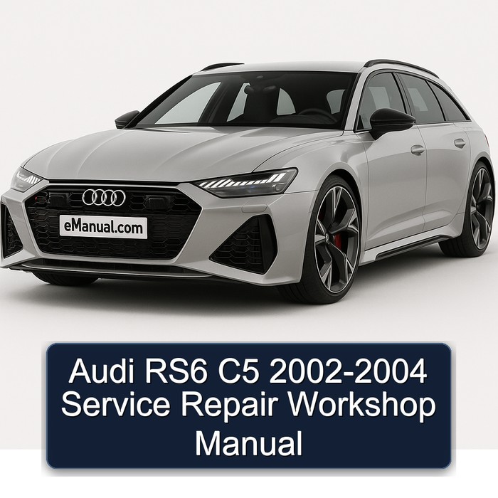 2002-2004 Audi RS6 Service Repair Workshop Manual PDF