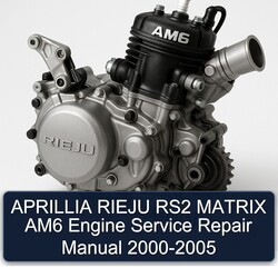 2000-2005 Rieju AM6 Aprillia RS2 Matrix Engine Service Repair Workshop Manual PDF