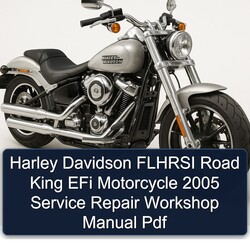 2005 Harley Davidson Road King Flhrsi Efi Motorcycle Service Repair Workshop Manual PDF