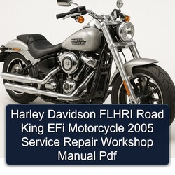 2005 Harley Davidson Road King Flhri Efi Motorcycle Service Repair Workshop Manual PDF