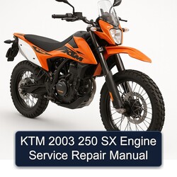 2003 KTM 250 SX Engine Service Repair Workshop Manual PDF