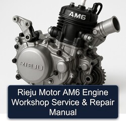 Rieju AM6 Motor Engine Service Repair Workshop Manual PDF