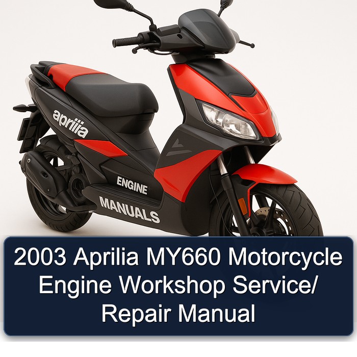 2003 Aprilia MY660 Motorcycle Engine / Service Repair Workshop Manual PDF