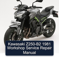 1981 Kawasaki Z Series Z250-B2 Service Repair Workshop Manual PDF