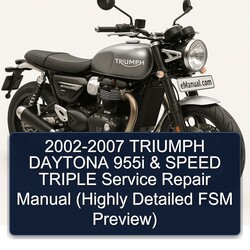 2002-2007 Triumph Speed Triple Daytona 955I (highly FSM Preview) Service Repair Workshop Manual PDF