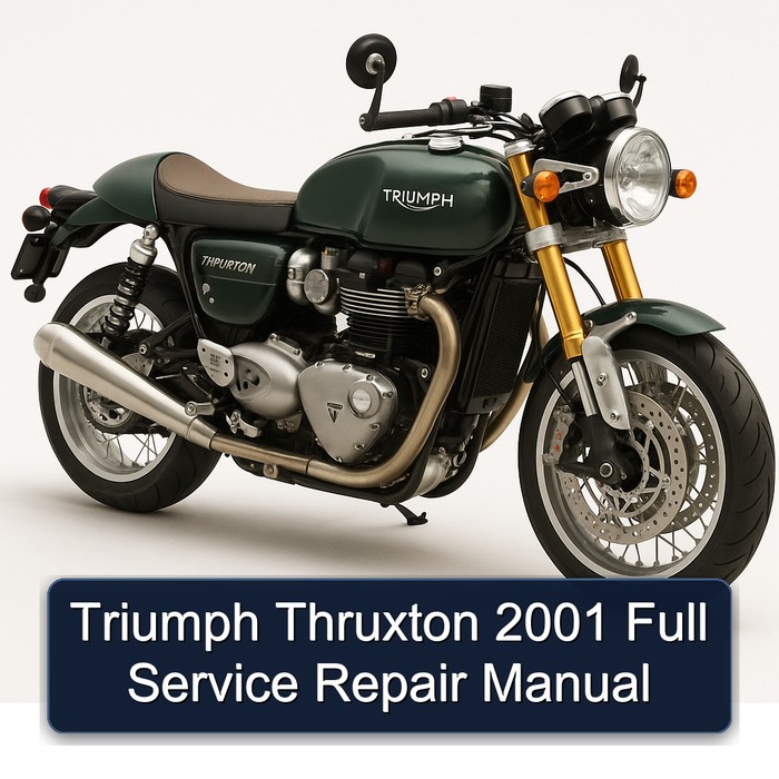 2001 Triumph Thruxton Service Repair Workshop Manual PDF