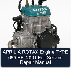 2001 Aprilia Rotax Engine Type 655 EFI Service Repair Workshop Manual PDF