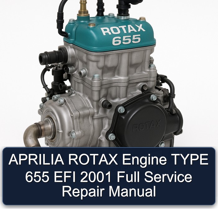 2001 Aprilia Rotax Engine Type 655 EFI Service Repair Workshop Manual PDF