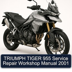 2001 Triumph Tiger Models 955 Service Repair Workshop Manual PDF