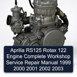 1999-2003 Aprilia RS Models RS125 Rotax 122 Engine Service Repair Workshop Manual PDF