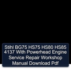 Stihl BG75 HS75 HS80 HS85 4137 Powerhead Engine Service Repair Workshop Manual PDF