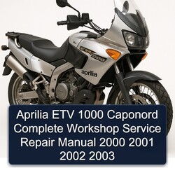 2000-2003 Aprilia ETV 1000 Caponord Service Repair Workshop Manual PDF
