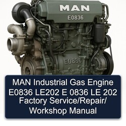 MAN E0836 Industrial Gas Engine LE202 E 0836 LE 202 / Service Repair Workshop Manual PDF