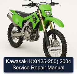 2004 Kawasaki KX Series Kx(125-250) Service Repair Workshop Manual PDF
