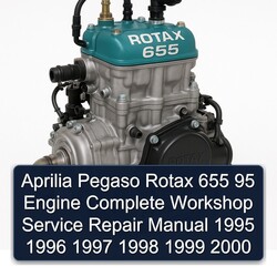 1995-2000 Aprilia Pegaso Models Rotax 655 95 Engine Service Repair Workshop Manual PDF