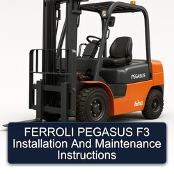 Ferroli Pegasus F3 Installation Service Repair Workshop Manual PDF