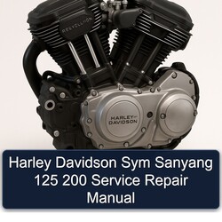 Harley Davidson Sym Sanyang 125 200 Service Repair Workshop Manual PDF