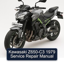 1979 Kawasaki Z Series Z650-C3 Service Repair Workshop Manual PDF