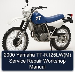 2000 Yamaha TT Models Tt-r125lw(m) Service Repair Workshop Manual PDF