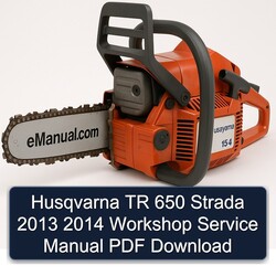 2013-2014 Husqvarna TR 650 Strada Service Repair Workshop Manual PDF